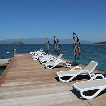 Comfortable Aegean Sea Villa *