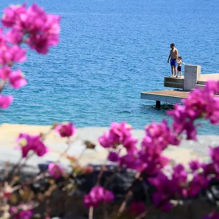 Villa Comfortable Aegean Sea *